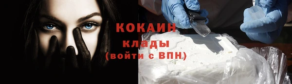 шишки Богданович