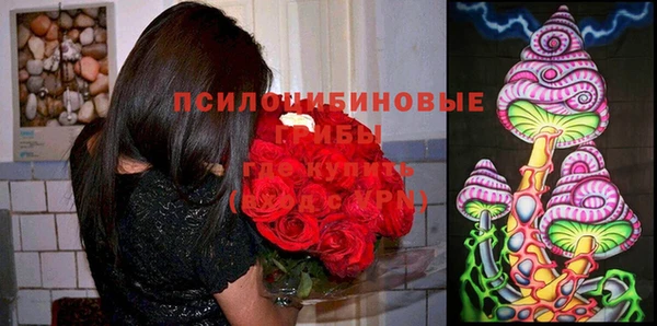 метамфетамин Белокуриха
