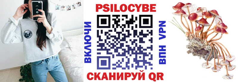 наркота  Петрозаводск  Псилоцибиновые грибы Psilocybine cubensis 